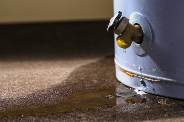 Best 24-hour water damage restoration  in Lexington Hills, CA
