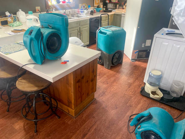 Best Flood damage cleanup  in Lexington Hills, CA