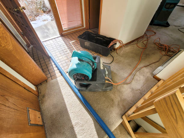 Best Basement water damage restoration  in Lexington Hills, CA