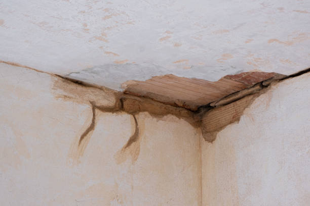 Best Carpet water damage restoration  in Lexington Hills, CA