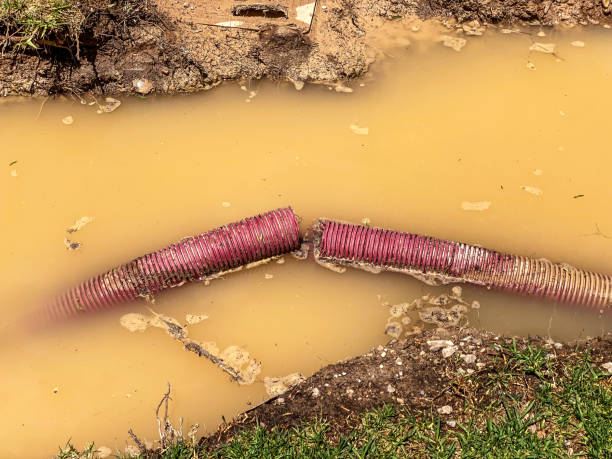 Best Water damage contractors near me  in Lexington Hills, CA