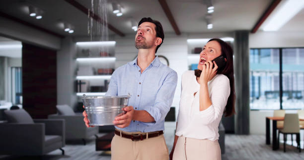 Best Basement water damage restoration  in Lexington Hills, CA