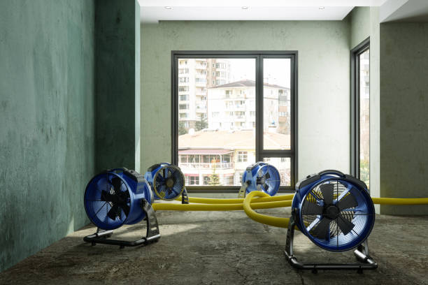 Best 24/7 water damage repair  in Lexington Hills, CA