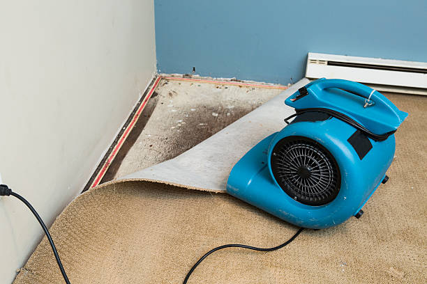 Best Sewage cleanup and water damage restoration  in Lexington Hills, CA